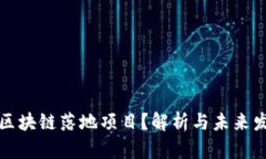 什么是区块链落地项目？解析与未来发展方向