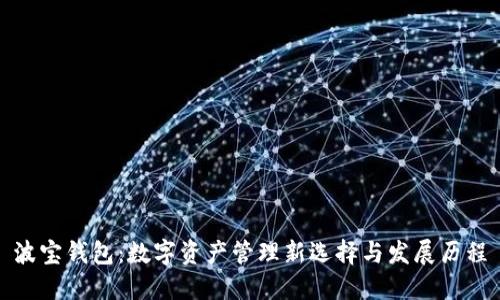 波宝钱包：数字资产管理新选择与发展历程
