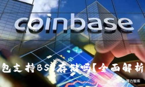 imToken钱包支持BSV存储吗?全面解析与实用指南