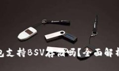 imToken钱包支持BSV存储吗？全面解析与实用指南