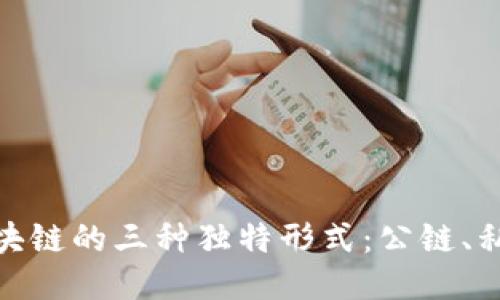 深入探讨区块链的三种独特形式：公链、私链与联盟链