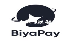 区块链信息安全标准：确保数字资产安全的有效