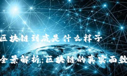 区块链到底是什么样子
全景解析:区块链的真实面貌