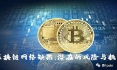 区块链网络缺陷：潜在的风险与挑战