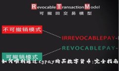 如何顺利通过cgpay购买数字货币：完全指南