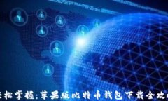 轻松掌握：苹果版比特币钱包下载全攻略