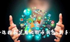 如何安全选择和使用比特币钱包：新手必读指南