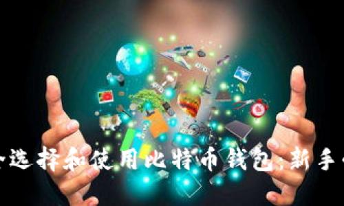 如何安全选择和使用比特币钱包:新手必读指南