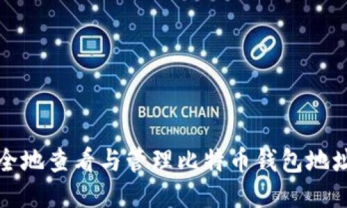 如何安全地查看与管理比特币钱包地址及余额