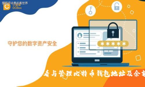 如何安全地查看与管理比特币钱包地址及余额