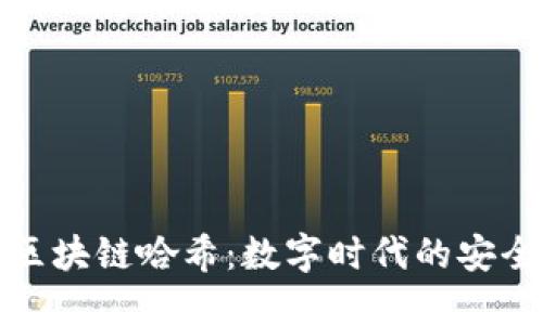 解密区块链哈希:数字时代的安全密码