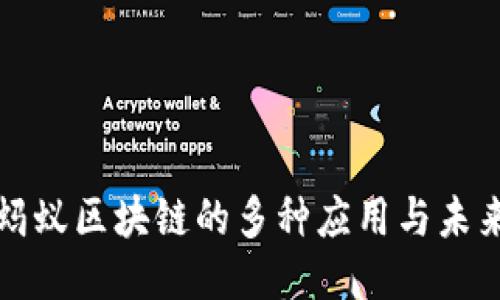 探秘蚂蚁区块链的多种应用与未来潜力