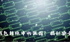 如何识别imToken钱包转账中的假图? 揭秘安全隐患