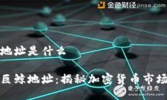 区块链巨鲸地址是什么探索区块链巨鲸地址：揭