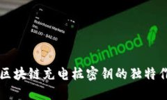深入探究区块链充电桩密钥的独特作用与应用