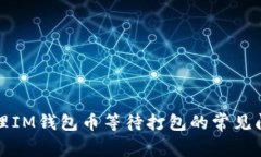 ### 如何处理IM钱包币等待打包的常见问题和解决