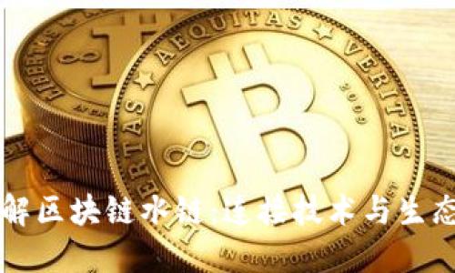 深入了解区块链水链：连接技术与生态的未来