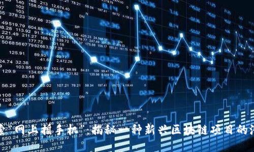 探索“网上摇手机”：揭秘一种新兴区块链项目的潜力