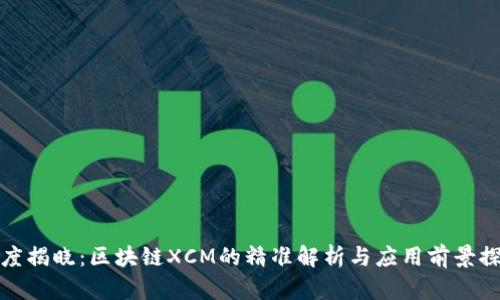 深度揭晓：区块链XCM的精准解析与应用前景探讨