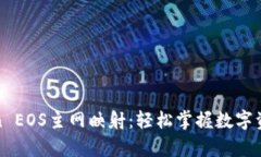 全面解析imToken EOS主网映射：轻松掌握数字资产的