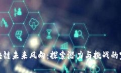 揭示区块链未来风向：探索潜力与挑战的完美平