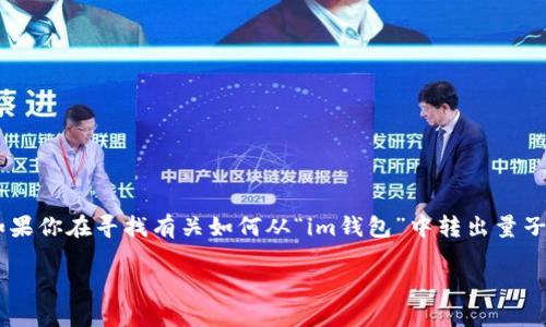 由于信息的更新和变化,我不能提供关于特定钱包或平台的实时信息。如果你在寻找有关如何从“im钱包”中转出量子(QNT)的步骤,这里有一些通用的指导和建议可以帮助你进行这项操作。
### 如何轻松转出IM钱包中的量子币(QNT)