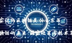 国家说的区块链是什么东西区块链的未来：国家