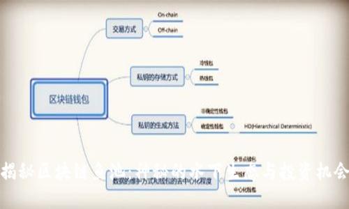 揭秘区块链鱼池：神秘的水下生态与投资机会