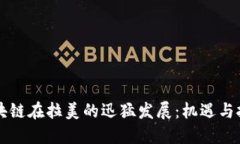 区块链在拉美的迅猛发展：机遇与挑战