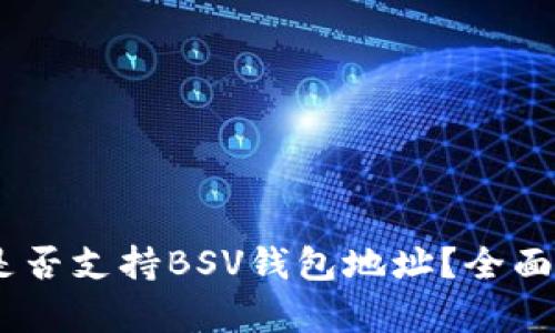 ### IM钱包是否支持BSV钱包地址?全面解析与使用指南