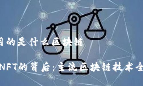 nft用的是什么区块链
探索NFT的背后:主流区块链技术全解析