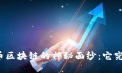 揭开比特币区块链的神秘面纱：它究竟是什么？