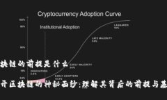 区块链的前提是什么揭开区块链的神秘面纱：理