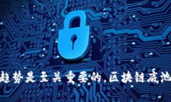 区块链底池是一个相对较新的概念，它通常涉及