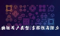 深入探索区块链用户类型：多样性与潜力的完美