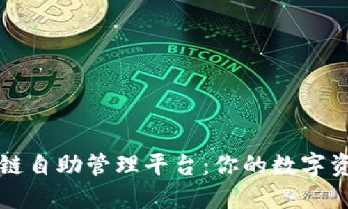探秘区块链自助管理平台：你的数字资产新助手