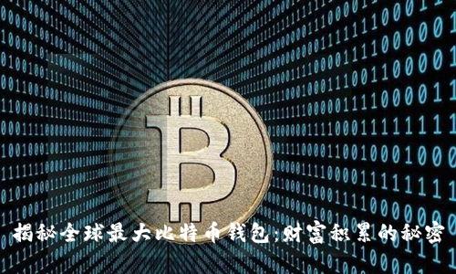 揭秘全球最大比特币钱包：财富积累的秘密