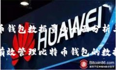 比特币钱包数据量的全面分析与理解如何有效管
