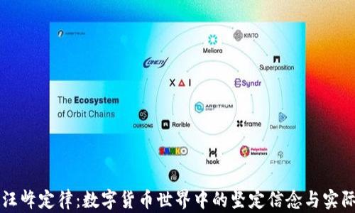 
理解汪峰定律：数字货币世界中的坚定信念与实际应用
